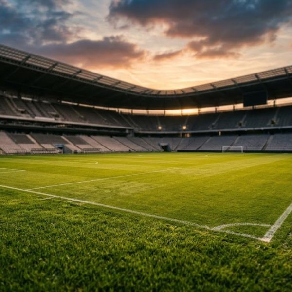 Le sport dépasse les frontières grâce à la traduction