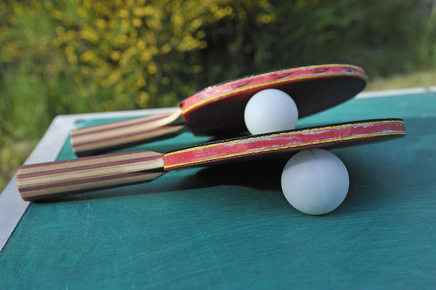 The Benefits of Joining a Table Tennis Club: Staying Active, Meeting New People, and Improving Your Skills